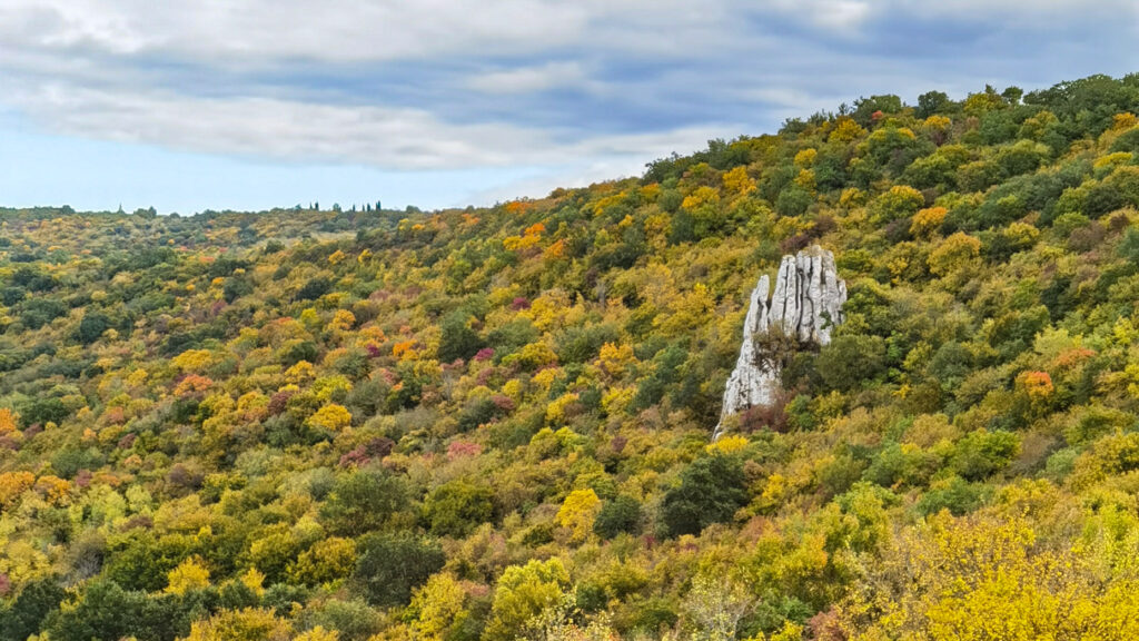 Šareni jesenski pejzaž unutrašnjosti Istre u blizini Dvigrada.
