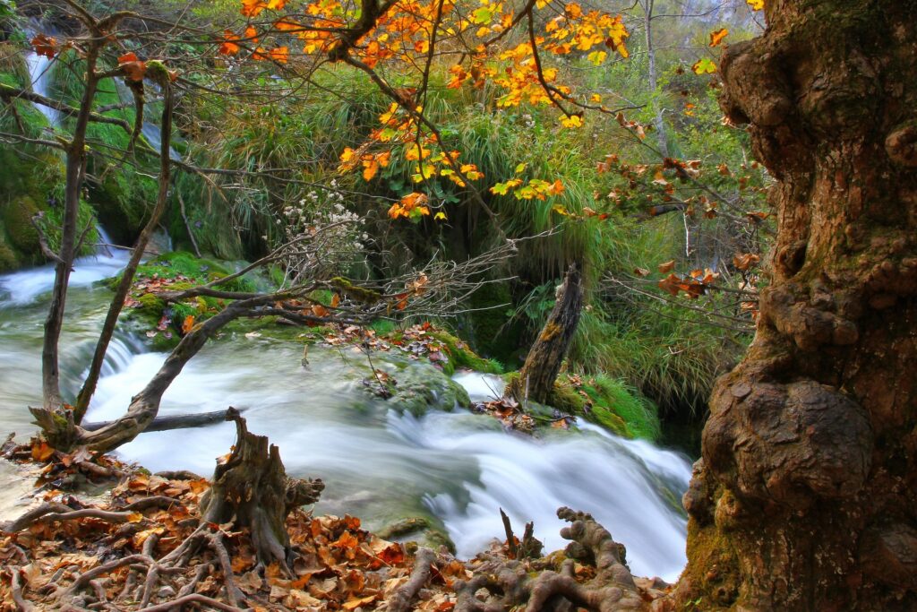 Jesen na Plitvičkim jezerima s potokom, lišćem i slapovima.