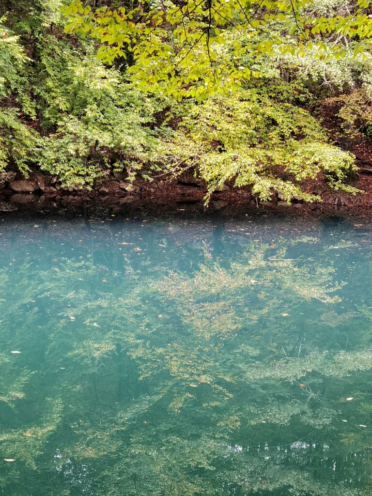 Površina rijeke Slunjčice koja u jesen reflektira krošnje okolnog drveća.